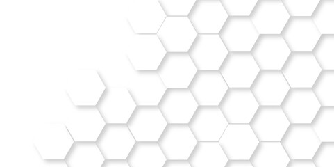 Obraz na płótnie Canvas Modern hexagons White Hexagonal Background. Luxury honeycomb grid White Pattern. Vector Illustration. 3D Futuristic abstract honeycomb mosaic white background. geometric mesh cell texture.