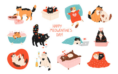 Romantic set of funny cats celebrating Valentine's Day.