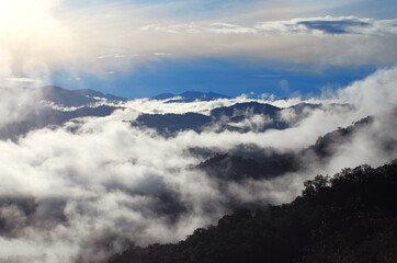 Morning mist in the middle of the western forest of Thailand