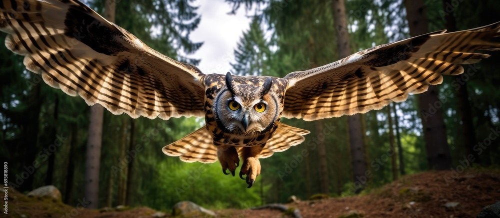 Wall mural Eurasian Eagle Owl flying with open wings in forest, wide angle lens photo.