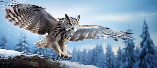 Winter scene in nature with flying eagle owl landing on snowy tree stump. - obrazy, fototapety, plakaty