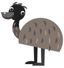 Cartoon australian animal emu on white background illustration for children
