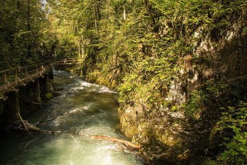 Fototapeta premium A wooden walkway crossing the Kamacnik River in Kamacnik Kanjon, Primorje-Gorski Kotar County, north west Croatia. August