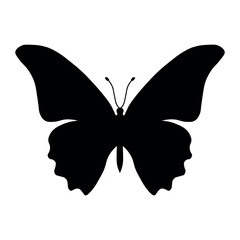 Butterfly black icon on white background