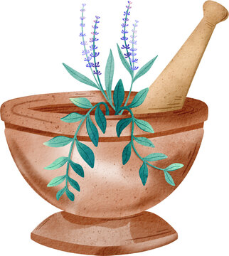 recommend clip art: herbal mortar and pestle watercolor