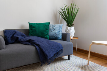 Scandinavian interior decoration of grey sofa with blue and green pillow on it. Green plant pot on...