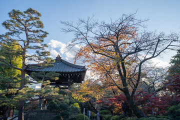 a temple located in Setagaya-ku, Tokyo, called Gotokuji.
The place where the traditional Japanese doll called 