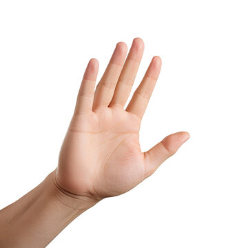 Expressive Hand Reaching Out with Palm Up Isolated on Transparent Background