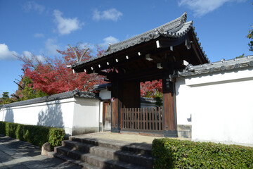 Fototapeta premium 秋の妙心寺 蟠桃院の山門 京都市右京区花園