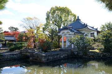 Fototapeta premium 秋の妙心寺 蓮池 京都市右京区花園