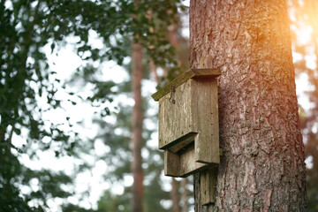 Old wooden birdhouse on a branch. A rustic and vintage box for birds to live and feed in the wild forest during the colorful season of autumn.