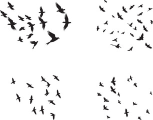 flock of birds flying silhouetted on white background.