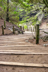 Land's End Trail in San Francisco, a popular walk along the rocky Pacific coastline. Beautiful landscapes of California