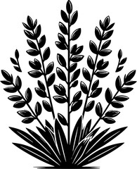 Combretaceae plant icon 2