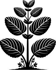 Columelliaceae plant icon 9