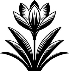 Colchicaceae plant icon 15