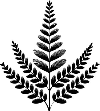 Combretaceae plant icon 4