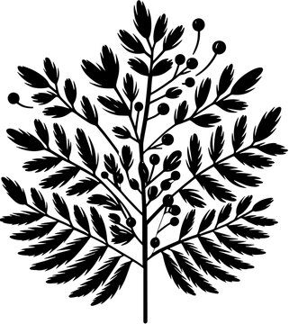 Combretaceae plant icon 5