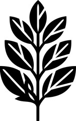 Clusiaceae plant icon 14