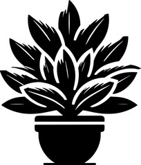 Clusiaceae plant icon 4