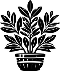 Clusiaceae plant icon 1 - obrazy, fototapety, plakaty