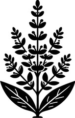 Clethraceae plant icon 15