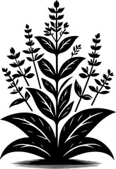 Clethraceae plant icon 14
