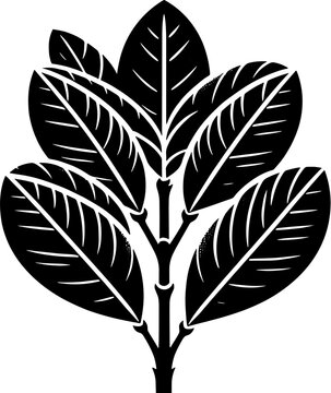 Clusiaceae plant icon 7