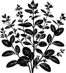 Clethraceae plant icon 1