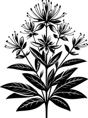 Cleomaceae plant icon 15