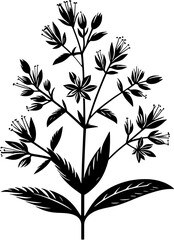 Cleomaceae plant icon 4