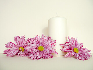 Pink flowers and candle on a white luminous space