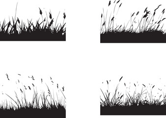 Natural grass silhouettes on white background