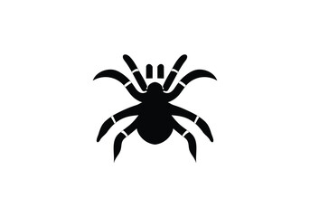 California Tarantula minimal style icon illustration design