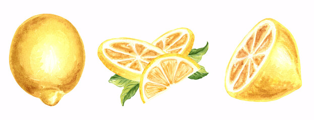 Set of yellow lemons with slices, half and green leaves. Watercolor template botanical isolated illustration citrus. Hand drawn illustration for menu and packaging design, card and printing tableware