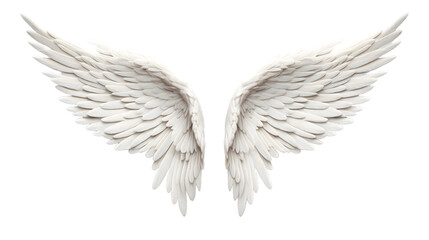 White Angel wings isolated on transparent background