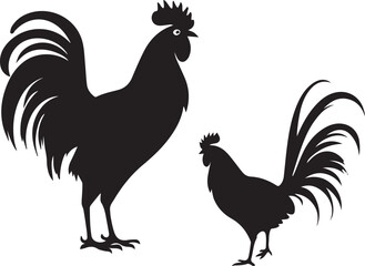 Vector Black silhouette of rooster hen on white background.