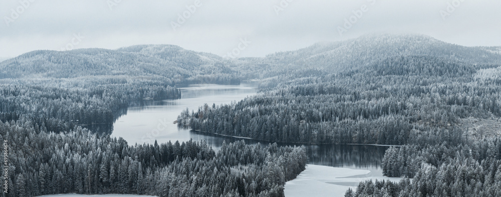 Wall mural taiga forest landscape with a lake and hills in winter