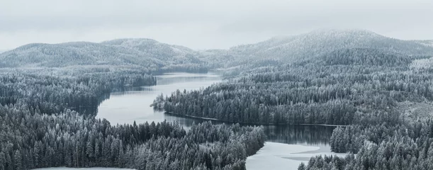 Fotobehang Grijs Taiga forest landscape with a lake and hills in winter  © Jamo Images