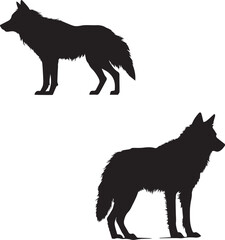 set of black Silhouette of wolf on white background
