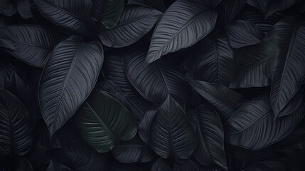 a close up of black leaves - obrazy, fototapety, plakaty