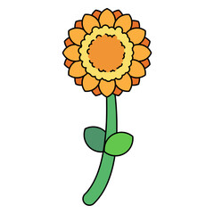 vector sunflower illustration, orance and green