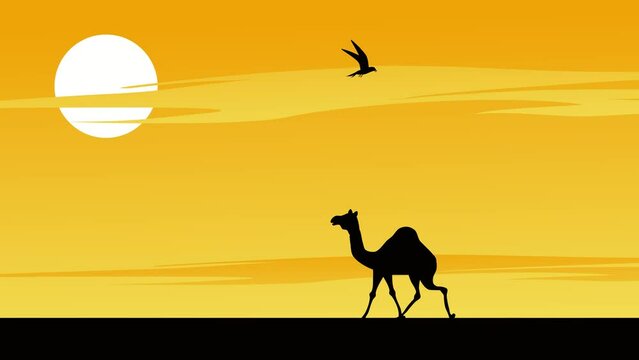 Black silhouettes of camel in the sunset walking cycle animation green screen