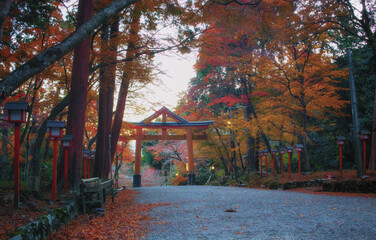 滋賀県大津市の日吉大社の山王鳥居と紅葉