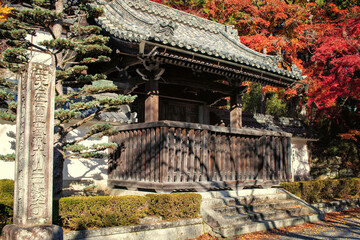 滋賀県大津市の西教寺の勅使門と紅葉