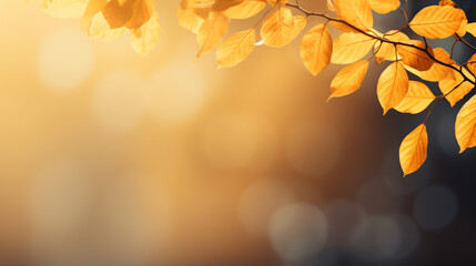 Naklejka na ściany i meble Abstract light autumn background