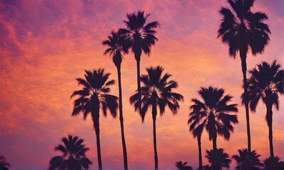 Silhouetted palm shapes in vibrant hues