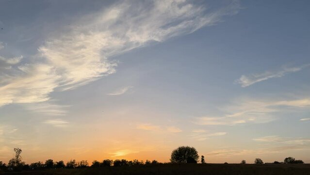 Sky with cirrus clouds above trees on horizon at sunset