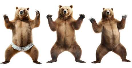 Naklejka premium A BEAR STANDING ON ONE LEG DOING A YOGA TREE POSE ON A WHITE BACKGROUND