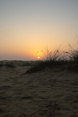 Obraz premium Sunrise in desert 